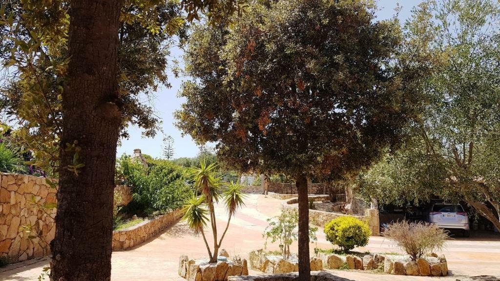 Villa Saba Olbia Exterior foto